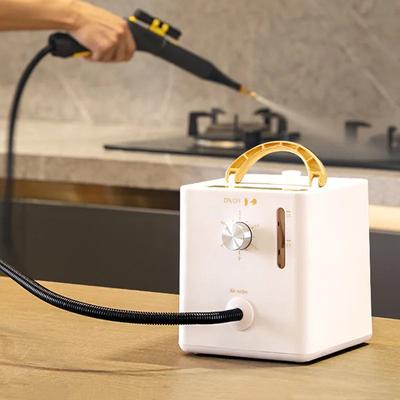 2600W High-Pressure Steam Cleaner for Home & AC Cleaningead for Kitchen