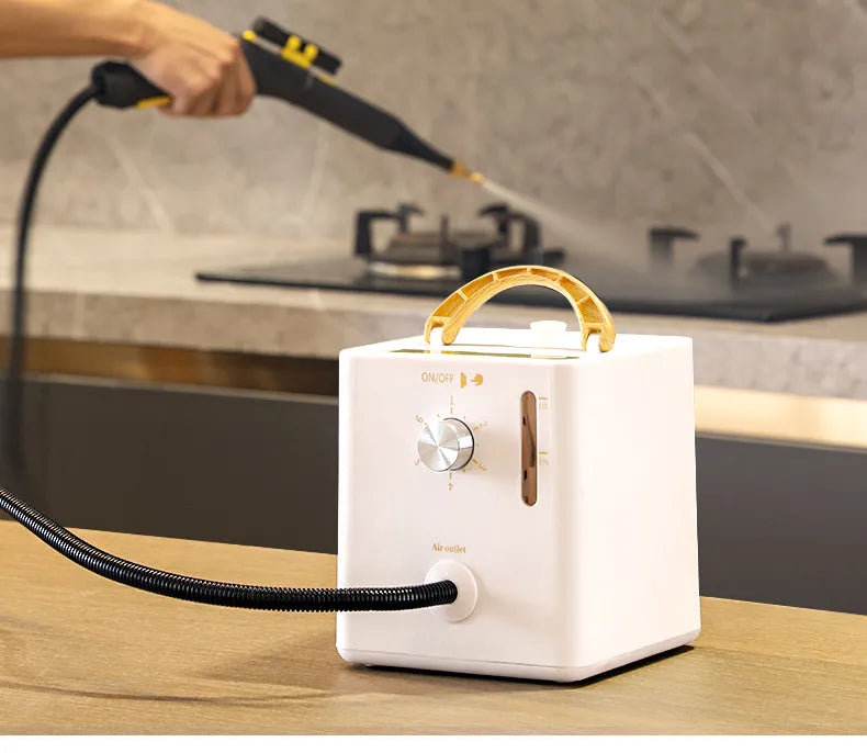 2600W High-Pressure Steam Cleaner for Home & AC Cleaningead for Kitchen