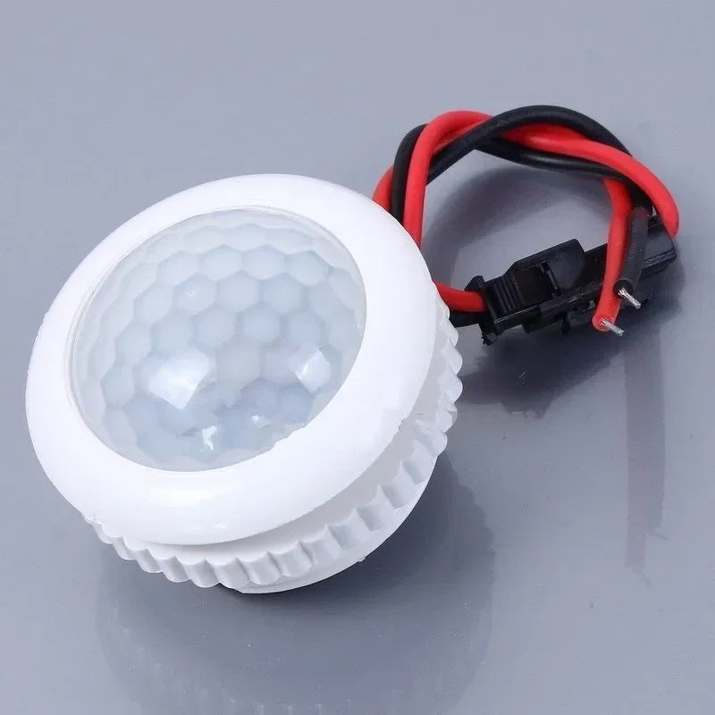 Smart PIR Motion Sensor LED Night Light 22OV