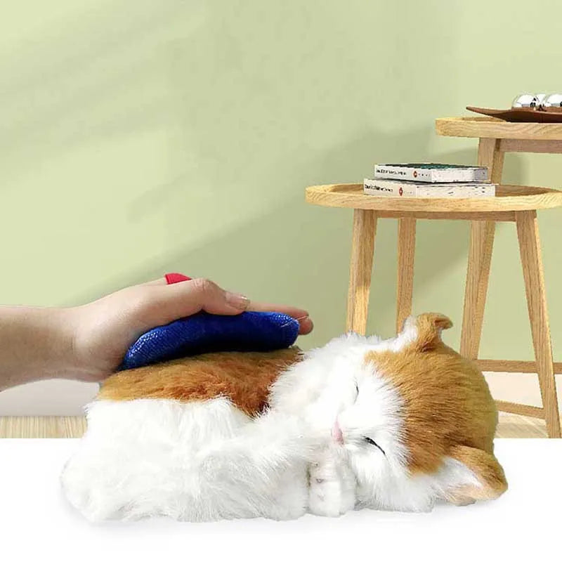 Pet Hair Remover Brush & Gloves