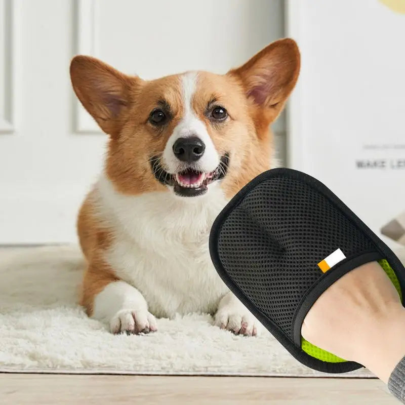 Reusable Pet Hair Remover