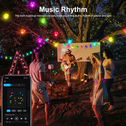 WiFi Smart LED String Lights